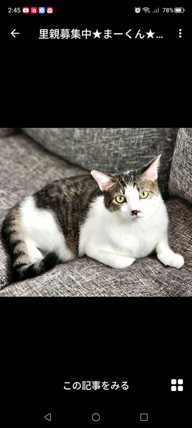 まーくんの写真