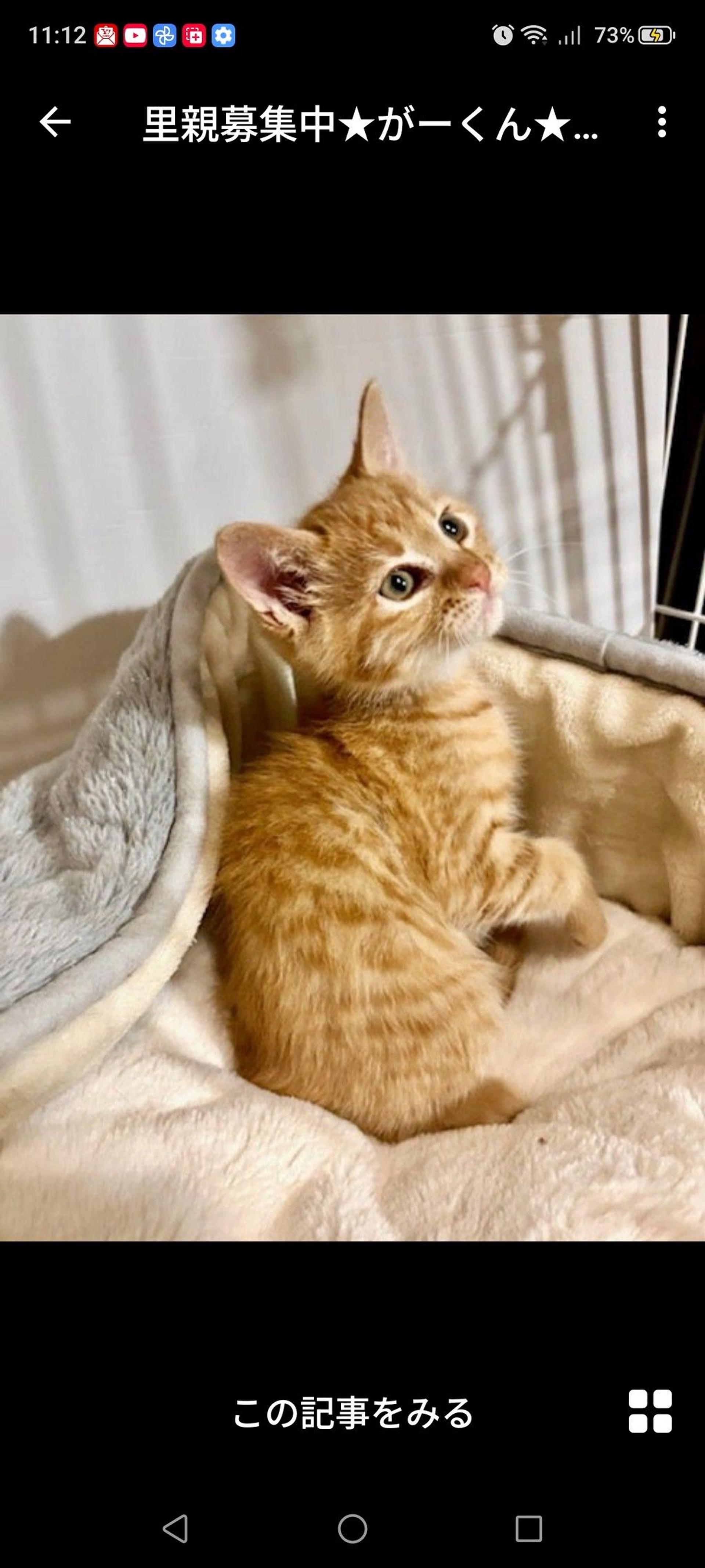 pet-image-3