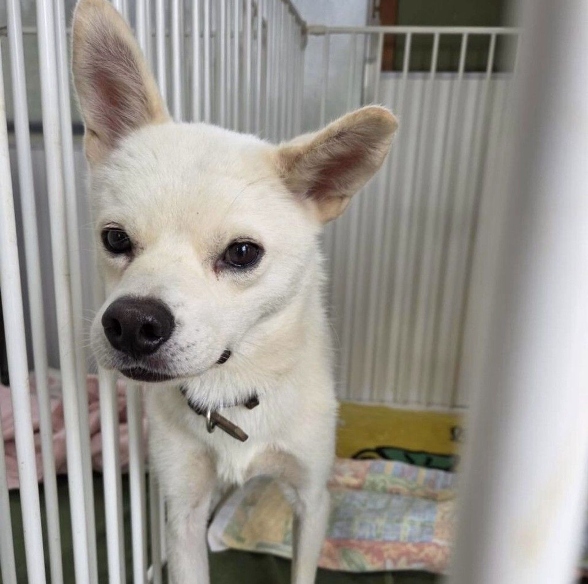 thumbnail-5