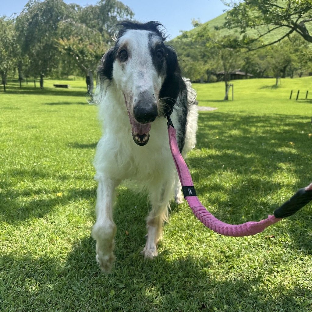 1768550526309715633_tV8d2fLH_2