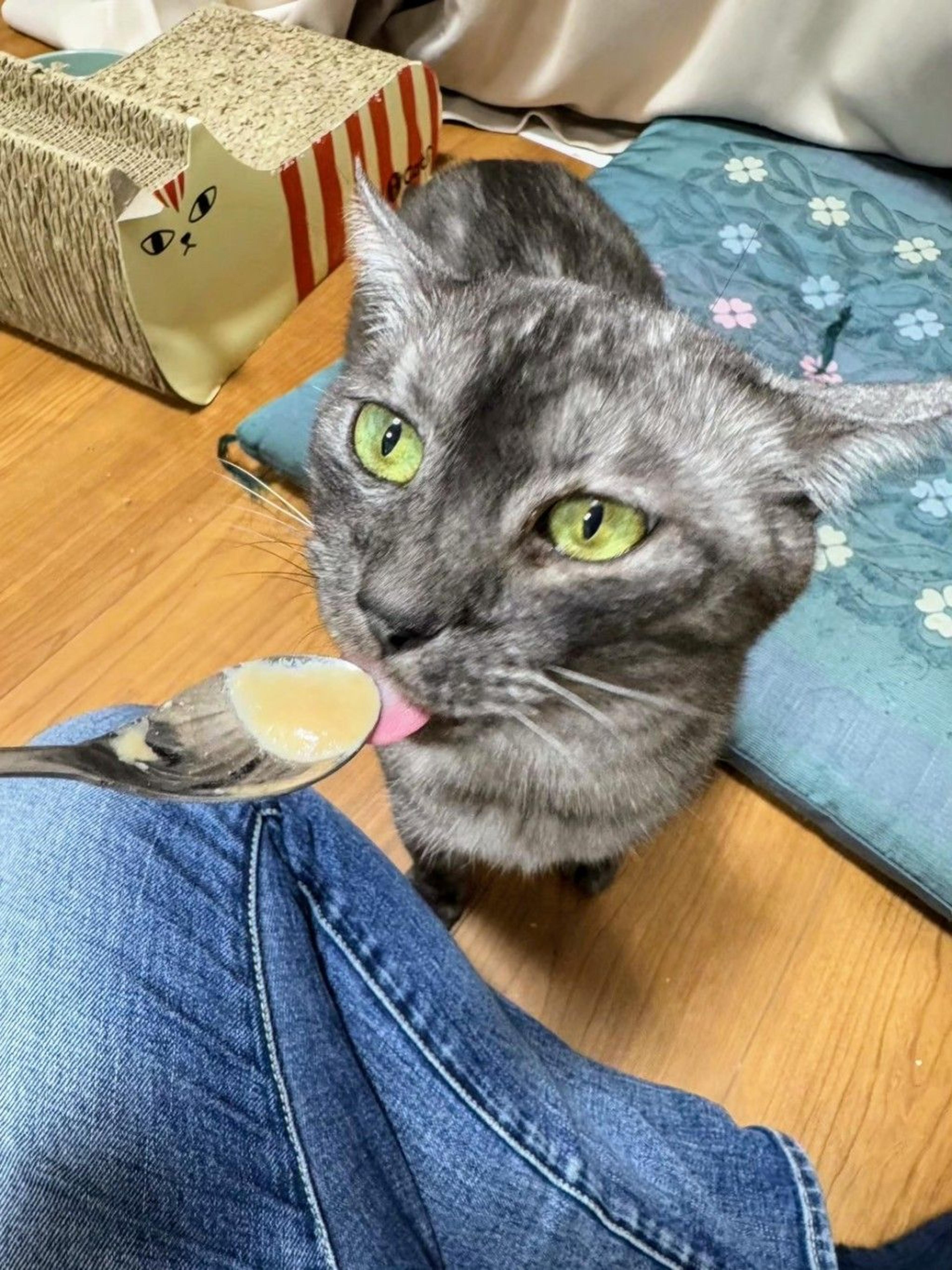 pet-image-10