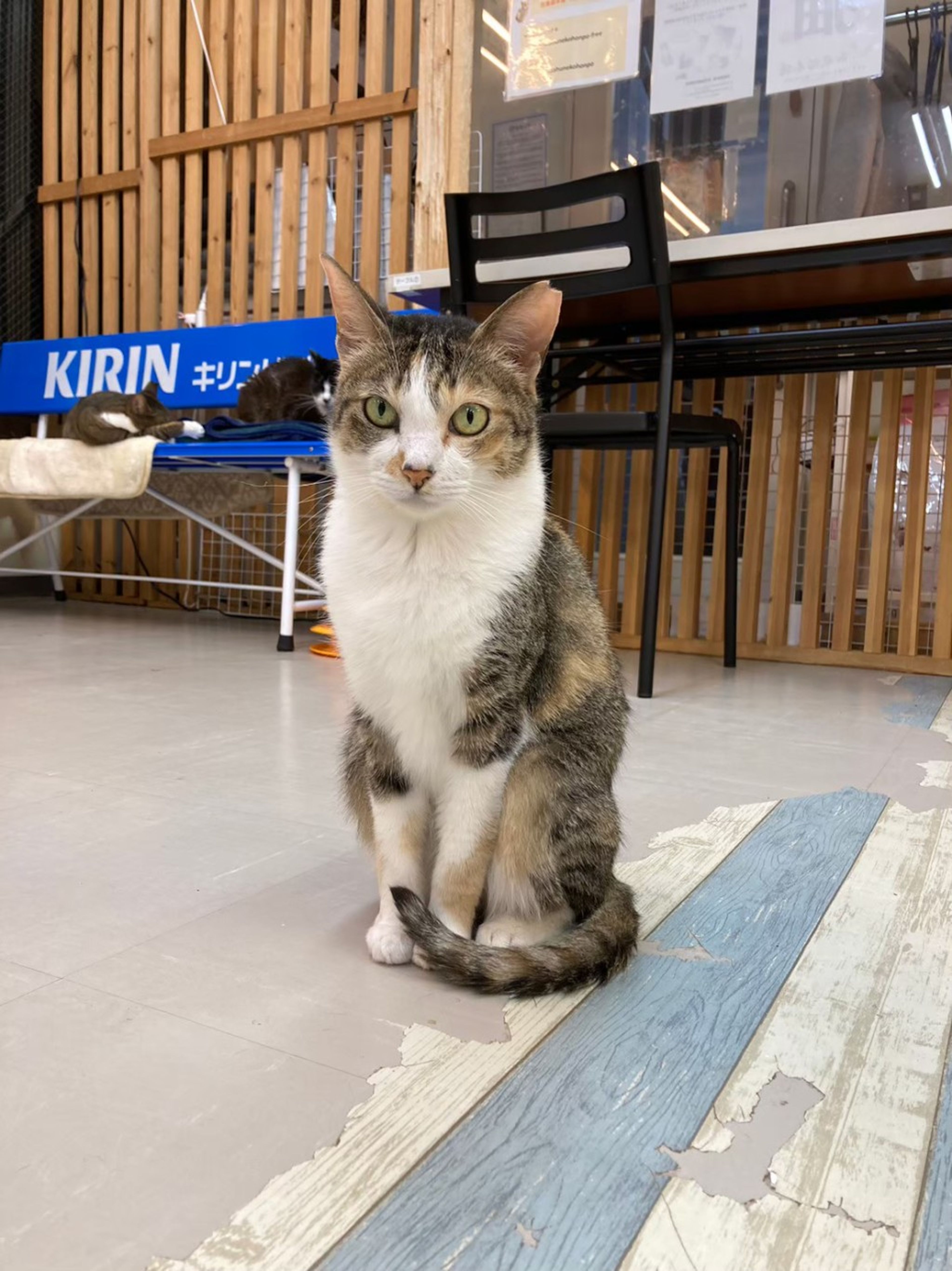 image-8