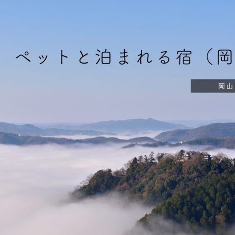 岡山県で人気のペットと泊まれる宿おすすめ15選 コテージがある宿もあり ペトコト