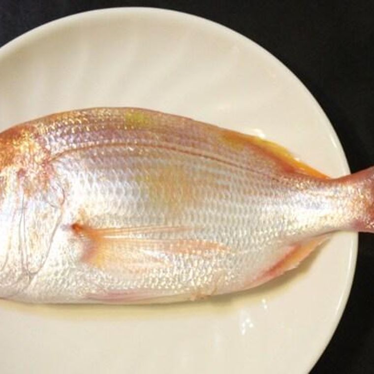 猫は鯛を食べても大丈夫 栄養豊富な食材でも骨には注意 ペトコト