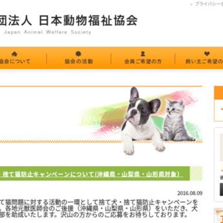 山梨 沖縄 山形で 捨て犬 捨て猫防止キャンペーン 不妊 去勢手術費用の一部を助成 ペトコト
