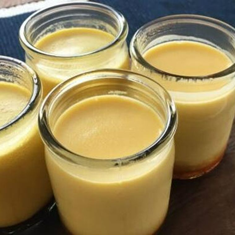 犬にプリンはng アレルギーやドッグフードを食べなくなる原因にも ペトコト