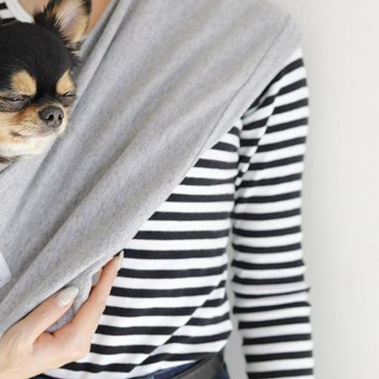 犬の抱っこ紐 スリング がおしゃれで便利 おすすめ商品や選び方のポイントを紹介 ペトコト