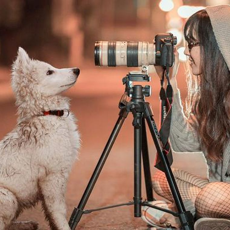 19年版 犬の撮影におすすめのカメラ6選 おしゃれなものやペットに特化したものまで ペトコト