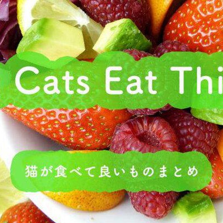 猫が食べて良いものまとめ 野菜 果物 穀物など主な栄養素や期待される効果 ペトコト