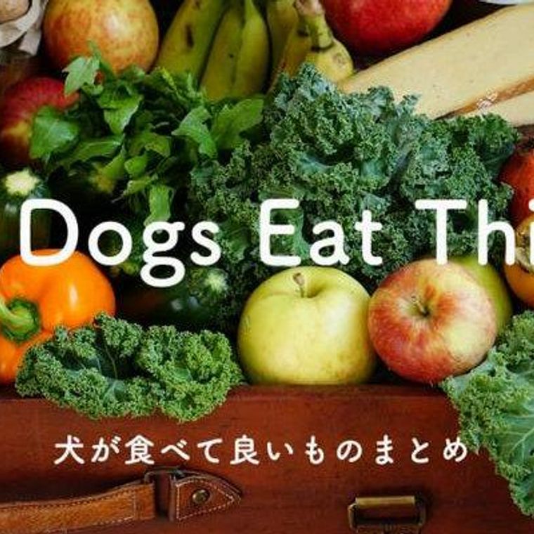 られる 犬 野菜 食べ が
