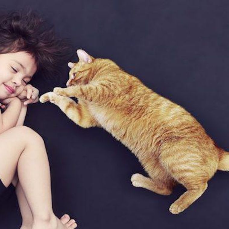 猫の夢はどんな意味がある 茶トラ 黒い 白い猫の意味など夢占いで徹底解説 ペトコト