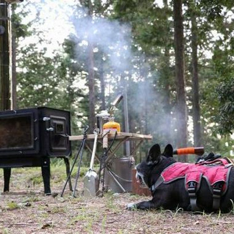 犬とキャンプは年中楽しめる 夏キャン 秋キャン 冬キャンの良さを紹介 ペトコト