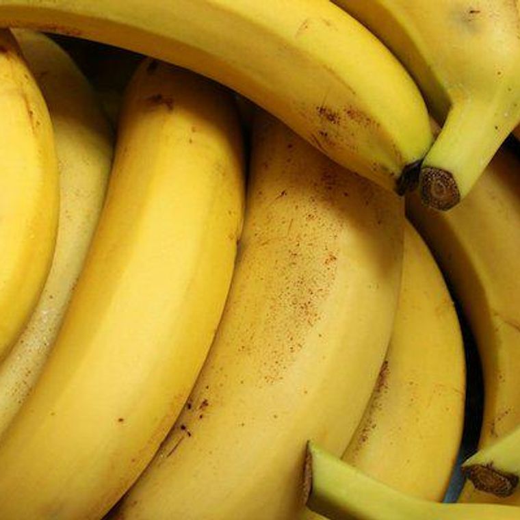 犬はバナナを食べても大丈夫 量や与え方の注意点やレシピなどを紹介 ペトコト