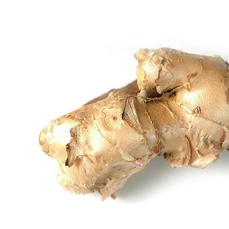 犬は生姜を食べても大丈夫 与える量や注意点などを紹介 ペトコト