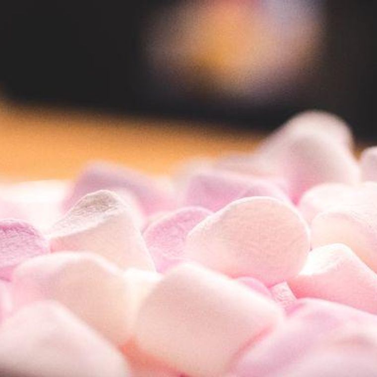 犬はマシュマロを食べても大丈夫 糖分の摂りすぎ アレルギーのリスクも ペトコト