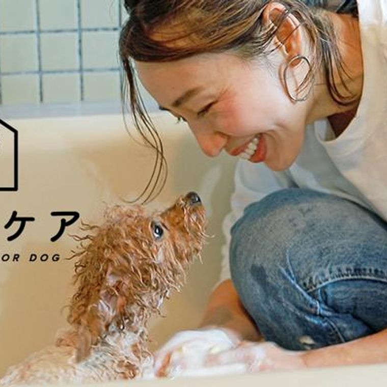 最新コレックション ゾイック スピーディワン トリートメントインシャンプ-S 250mL 適応犬種柴犬 qdtek.vn