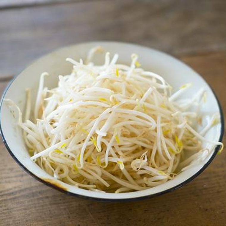 犬はもやしを食べても大丈夫 成分をしっかり摂取するためには与え方に気を付けて ペトコト