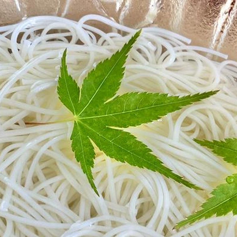 犬はそうめんを食べても大丈夫 麺はokでもつゆや薬味は食べさせないで ペトコト