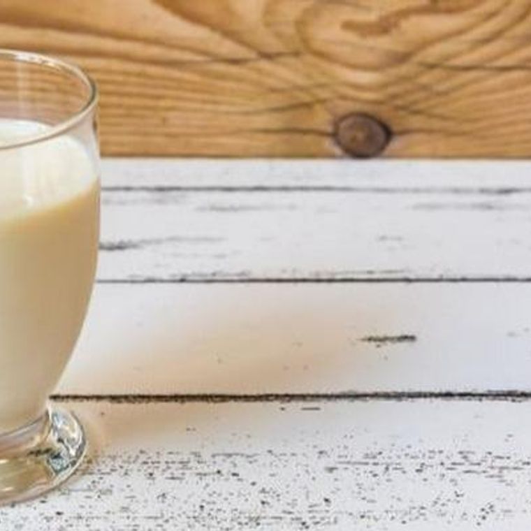 犬は豆乳を飲んでも大丈夫 豆乳の成分や 与える際の注意点を解説 ペトコト