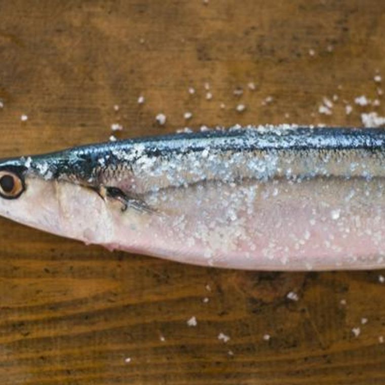 猫はサンマを食べても大丈夫！タウリンが豊富な魚でも注意すべき