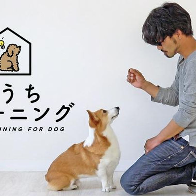 犬のおすわりの教え方 できない場合や教えるタイミングなどをトレーナーが解説 ペトコト