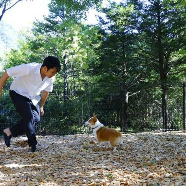 星野リゾートのペットと泊まれる宿特集 ドッグラン付きから客室露天風呂付きの宿まで紹介 ペトコト