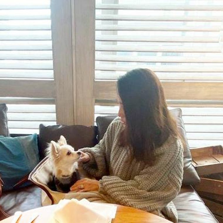 渋谷のドッグカフェ 犬同伴可レストラン11選 看板犬と触れ合えるカフェも紹介 ペトコト