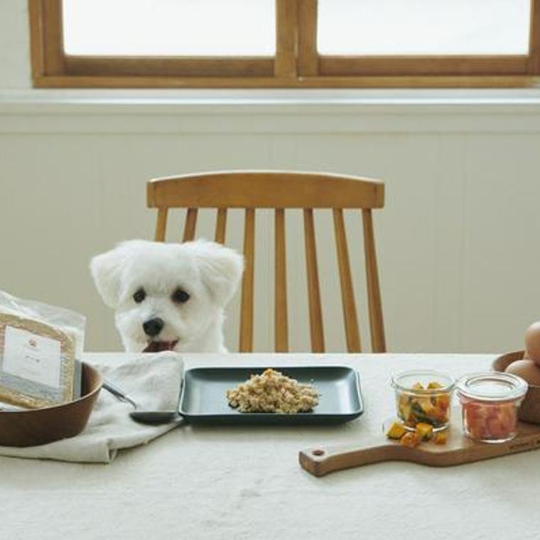 犬に必要なミネラル 種類やオススメ食材を栄養管理士が解説 ペトコト