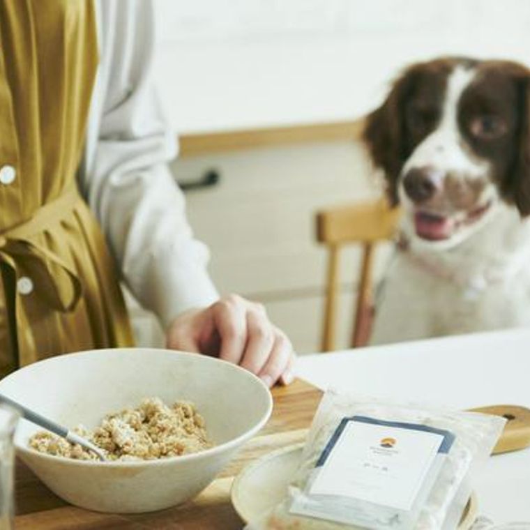 犬のカロリー計算を栄養管理士が解説 手作りごはんやダイエットで最適なドッグフードの給餌量とは ペトコト