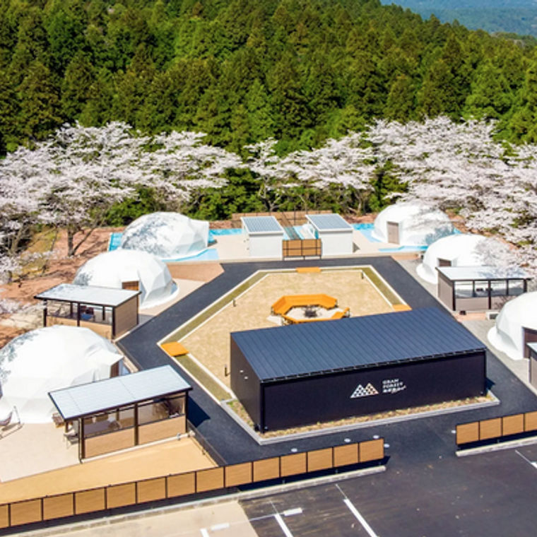 ペットと一緒に泊まれる芦原温泉 コレクション