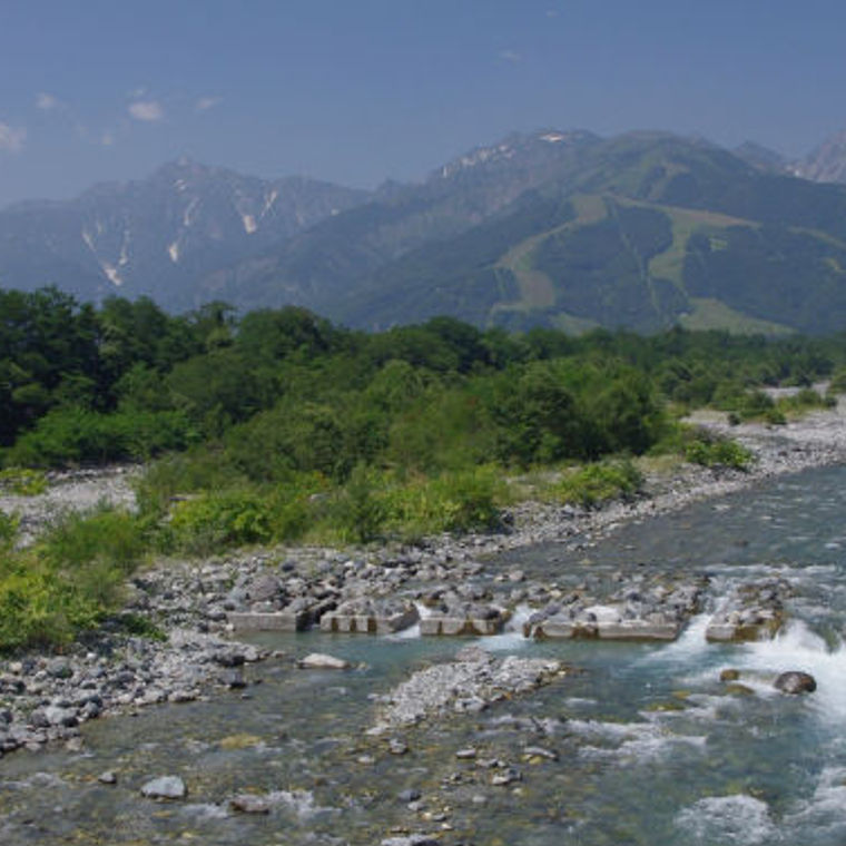 白馬のペットと泊まれる宿おすすめ13選 ペットの預かりを行っている宿もあり ペトコト