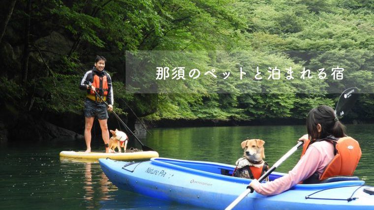 那須で人気のペットと泊まれる宿おすすめ8選 温泉付きやドッグラン付きなどをご紹介 ペトコト