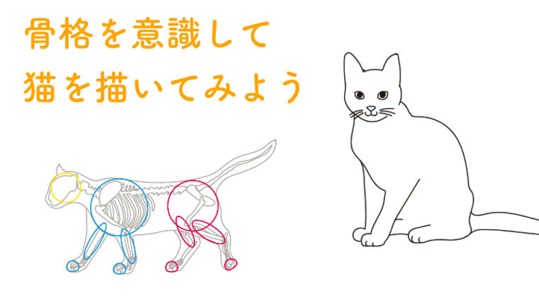 猫の描き方をプロが解説｜骨格を意識したデッサン手法から、顔の特徴を出すコツまで | ペトコト（PETOKOTO）