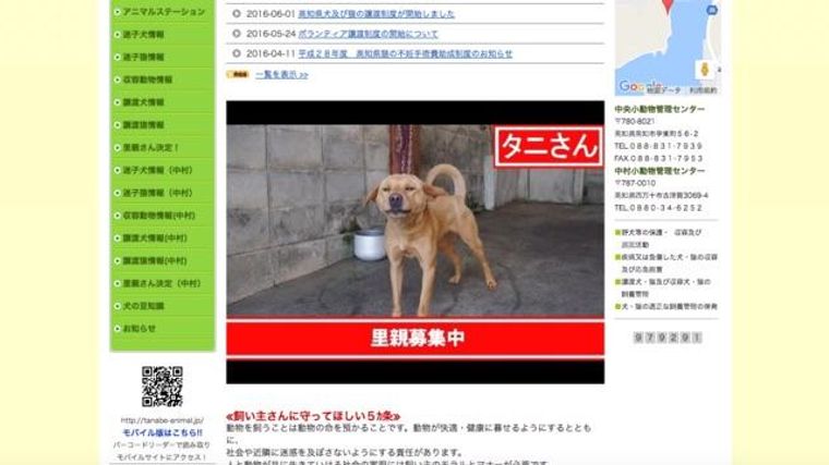 高知県 県と市の共同で動物愛護センター新設へ 現施設は限界があり 殺処分せざるを得ない状況 ペトコト