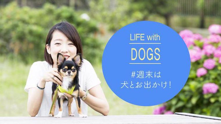 21年版 関東の愛犬と一緒に行けるおすすめスポットを紹介 ペトコト