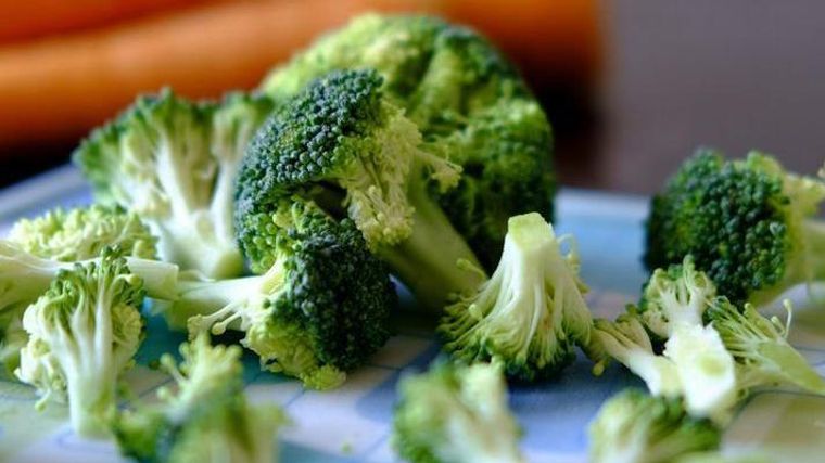 猫はブロッコリーを食べても大丈夫 アレルギーなどの注意点 レシピを紹介 ペトコト