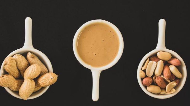 犬はピーナッツを食べても大丈夫 アレルギーや消化不良に注意 ペトコト