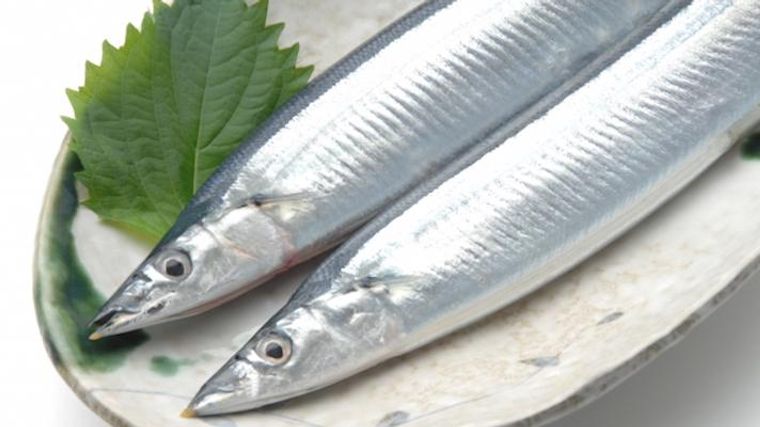 犬は魚を食べても大丈夫 注意点やおすすめの活用法を紹介 ペトコト