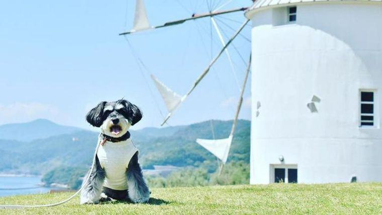 高知県のおでかけスポット【ペット同伴可】情報一覧(60件)｜ウォーカープラス