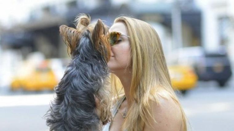 犬とのキスは危険 犬が口を舐める意味やキスで感染する病気について獣医師が解説 ペトコト