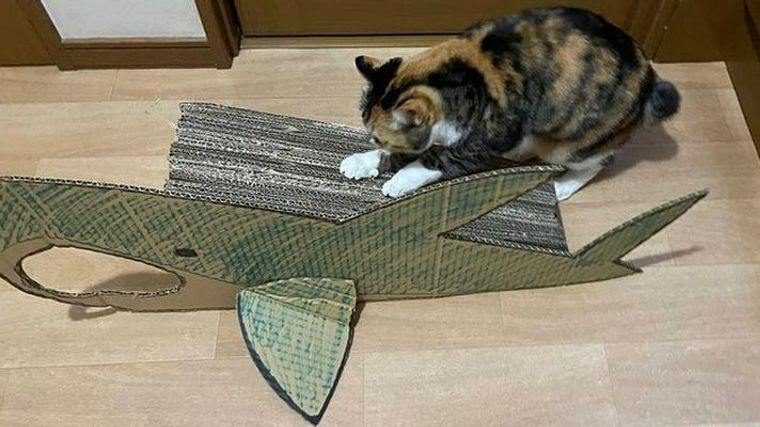 猫用爪とぎを手作りしよう！ダンボールや麻縄などで作るDIYアイデアを