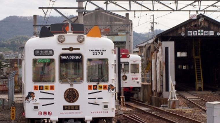 猫と電車移動はOK？鳴く場合などのマナーや注意点、切符料金など 