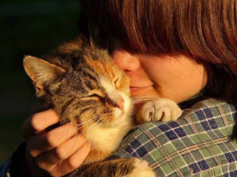 猫がキスをしてくる でもじつは人と猫のキスがちょっとngな理由を獣医師が解説 ペトコト