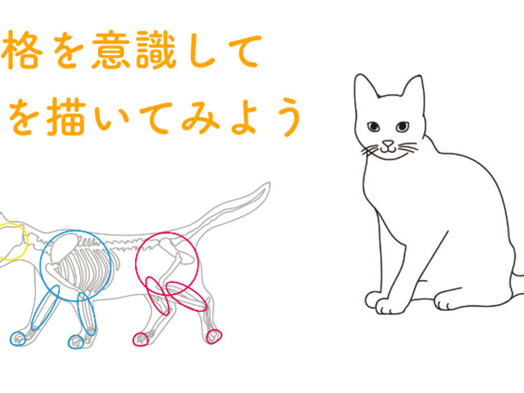 猫の描き方をプロが解説 骨格を意識したデッサン手法から 顔の特徴を出すコツまで ペトコト