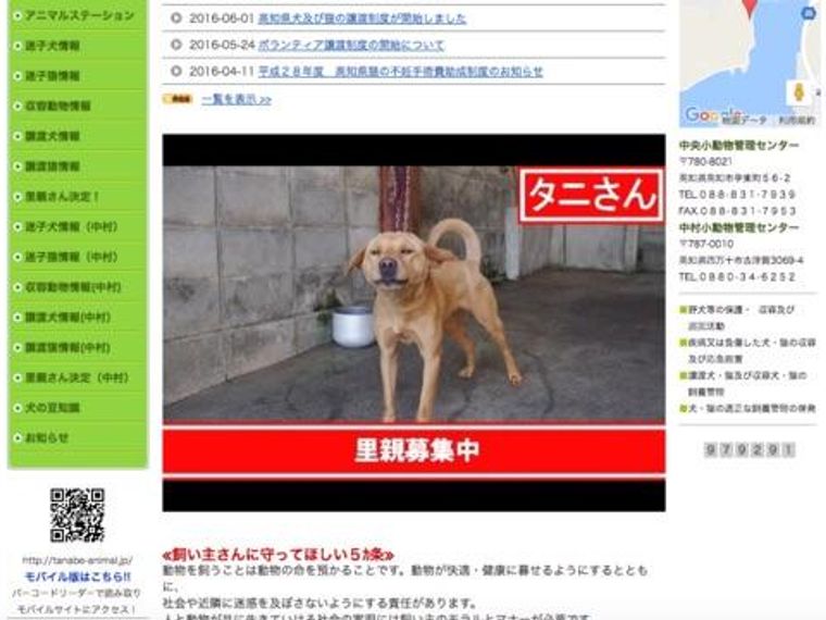 高知県 県と市の共同で動物愛護センター新設へ 現施設は限界があり 殺処分せざるを得ない状況 ペトコト