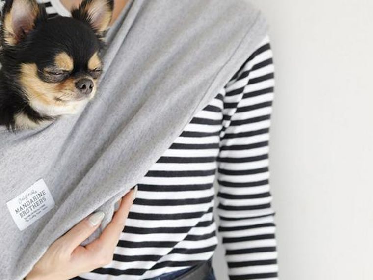 犬の抱っこ紐 スリング がおしゃれで便利 おすすめ商品や選び方のポイントを紹介 ペトコト
