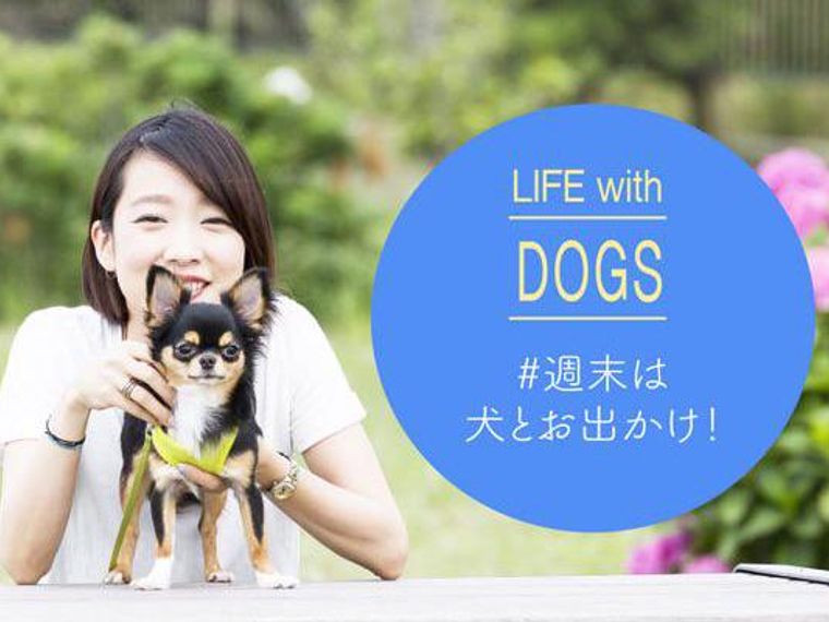 21年版 関東の愛犬と一緒に行けるおすすめスポットを紹介 ペトコト