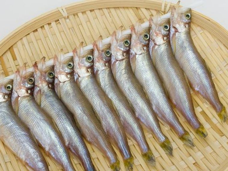 猫がシシャモを食べるのはng 身近な干物は塩分が多いので注意 ペトコト
