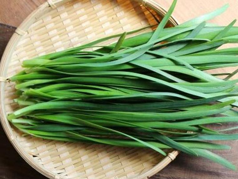 猫がニラを食べるのはng 中毒症状の特徴や対処法を詳しく説明 ペトコト