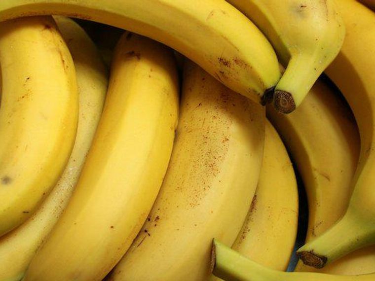 犬はバナナを食べても大丈夫 量や与え方の注意点やレシピなどを紹介 ペトコト